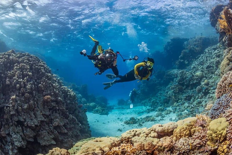 Alanya: Scuba Diving Tour with Lunch and Hotel Transfers - An Overview of the Experience