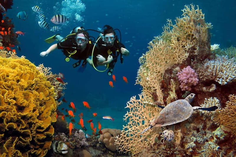 Alanya: Scuba Diving Tour with Lunch and Hotel Transfers - What Sets This Tour Apart?