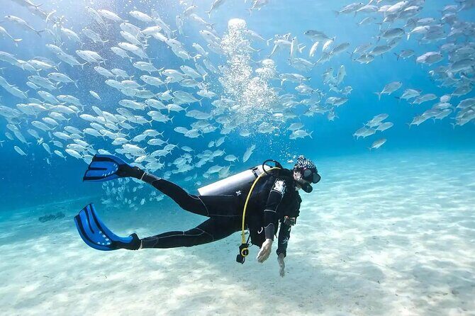 Alanya Scuba Diving With Lunch and Transfer - What You Can Expect from This Tour