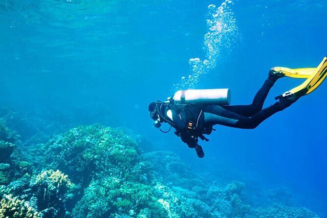 Alanya Scuba Diving With Lunch and Transfer - Practical Details & Tips