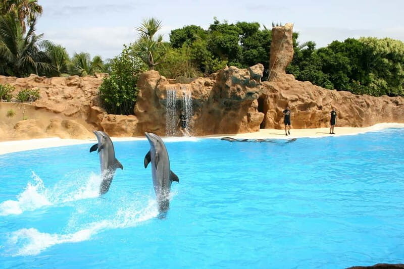 Alanya: Sealanya Dolphinpark Dolphin Show Tour - Key Points