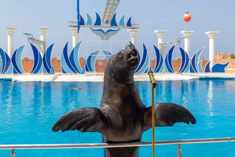 Alanya: Sealanya Dolphinpark Dolphin Show Tour - Who Will Enjoy This Tour?