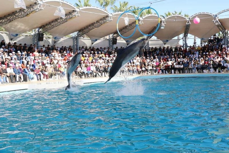 Alanya: Sealanya Dolphinpark Dolphin Show Tour - Final Thoughts