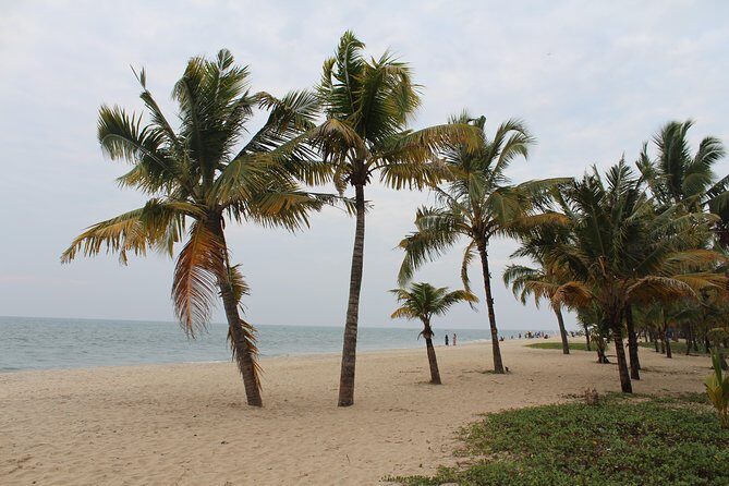 Alappuzha Backwaters & Beaches Bike Tour - Who Will Love This Tour?