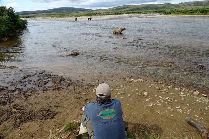 Alaska Bear-Viewing Day Trip from Homer - Scenic Flight and Wilderness Access