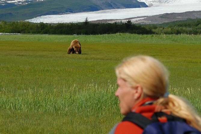 Alaska Bear-Viewing Day Trip from Homer - Authentic Feedback from Travelers