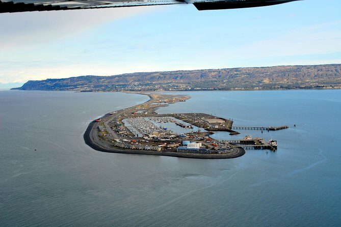 Alaska Bear-Viewing Day Trip from Homer - Practical Considerations