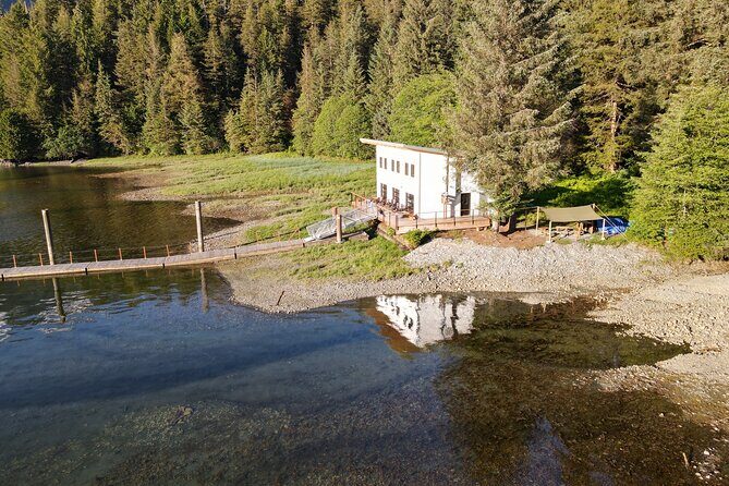 Alaska Bears and Silver Bay Homestead - Alaska Bears and Silver Bay Homestead: An Authentic Alaskan Adventure