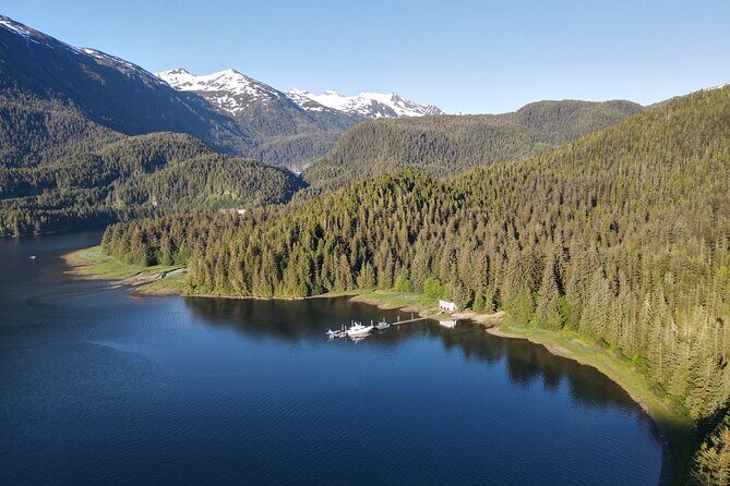 Alaska Bears and Silver Bay Homestead - Key Points