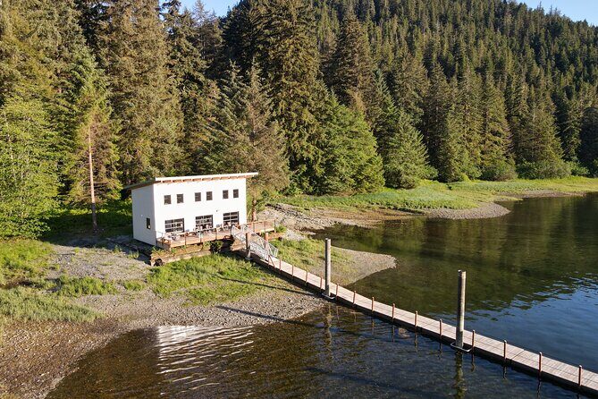 Alaska Bears and Silver Bay Homestead - Final thoughts on the Alaska Bears and Silver Bay Homestead Tour