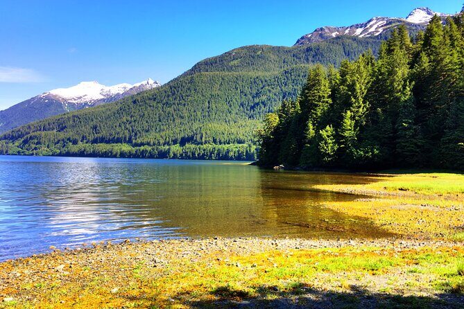 Alaska Bears and Silver Bay Homestead - FAQs