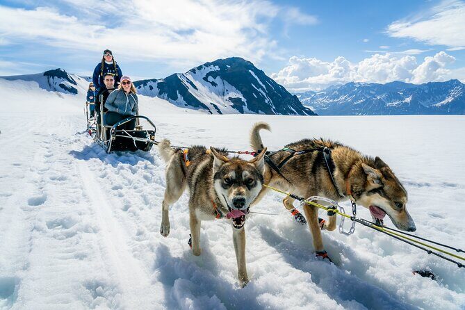 Alaska Helicopter and Glacier Dogsled Tour - SEWARD AREA - Alaska Helicopter and Glacier Dogsled Tour - SEWARD AREA