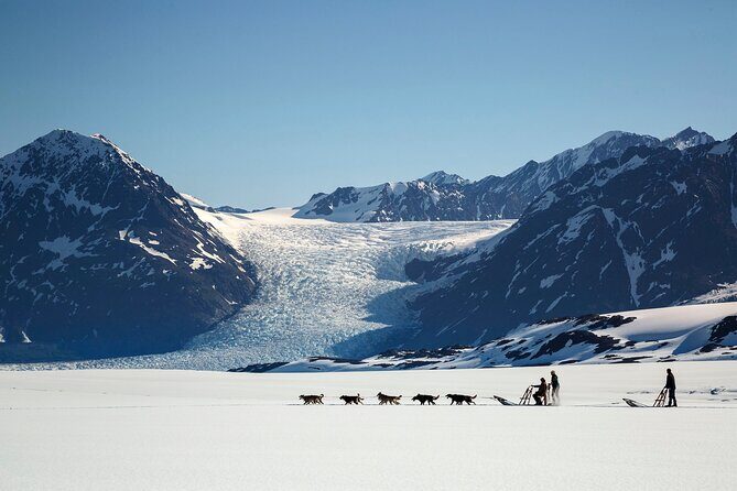 Alaska Helicopter and Glacier Dogsled Tour - SEWARD AREA - The Perfect Fit for Who?