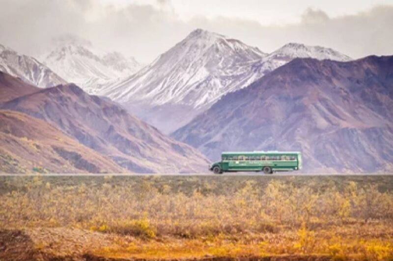 Alaska: Kenai Fjords & Denali National Park 5 Day Adventure - An Honest Look at the 5-Day Alaska Adventure