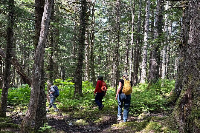 Alaska Nature Immersion: Forest Therapy Tour in Haines, Alaska - Practical Tips for Travelers
