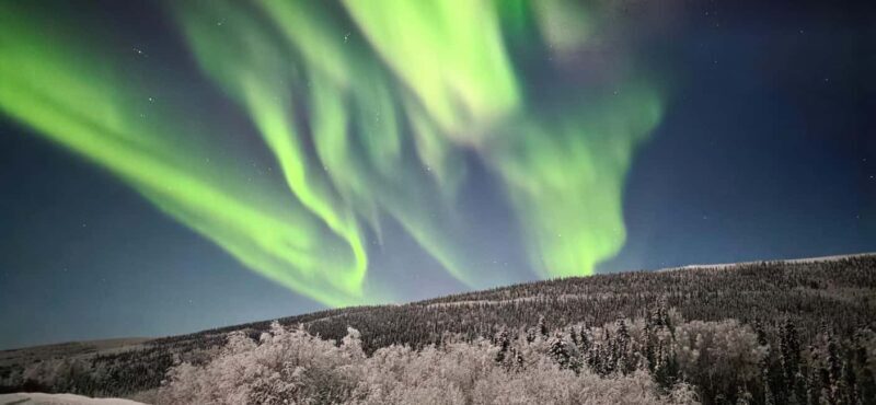 Alaska: Private Northern Lights Viewing Tour - Key Points