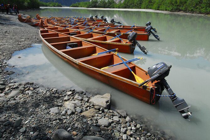 Alaska Wildlife Voyageur Canoe Safari from Haines - Who Would Love This Tour?