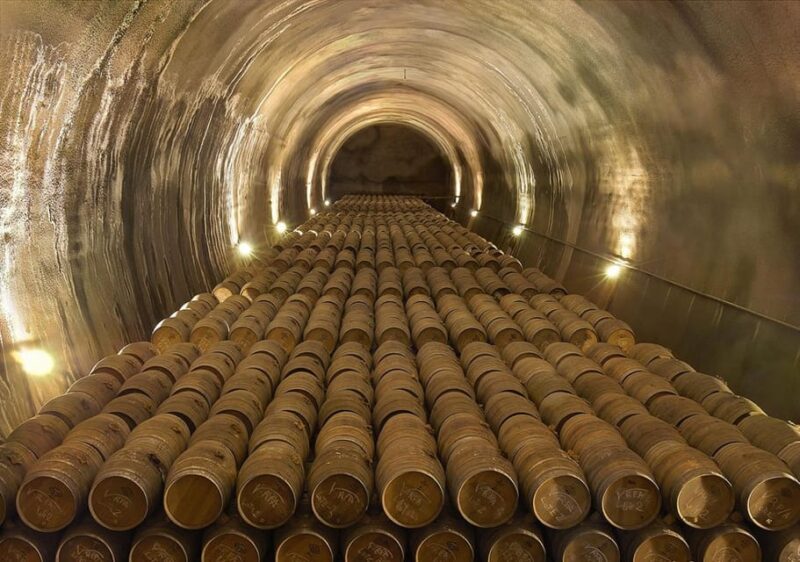 Álava: Viña Real Winery - Introduction to Viña Real Winery