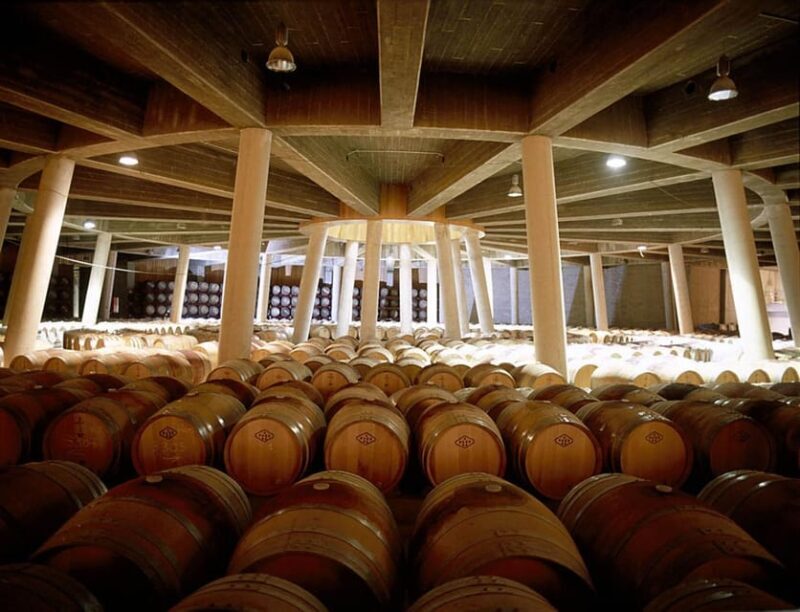 Álava: Viña Real Winery - The Vineyard Visit & Picnic