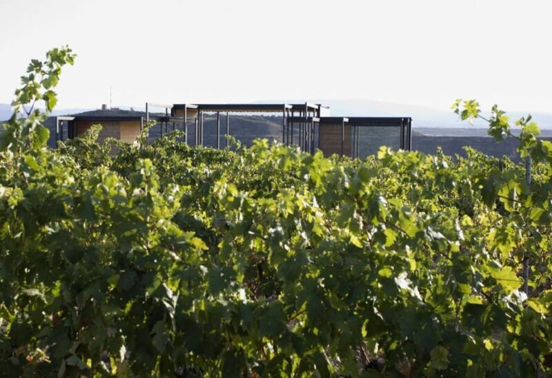 Álava: Viña Real Winery - Price and Value