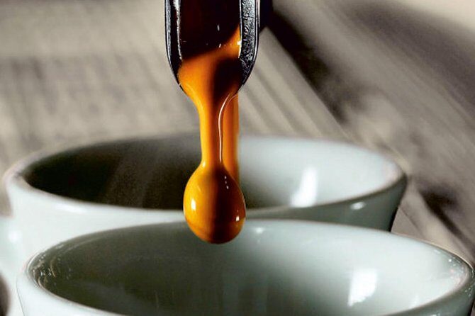 ALBA walking & TASTING tour (food, wine and history) - A Detailed Look at the Alba Tasting & Walking Experience