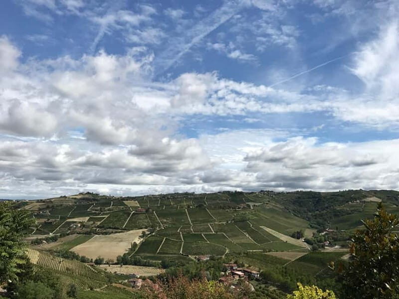 Alba: Wine Tasting and Tour with a Local Producer - Key Points