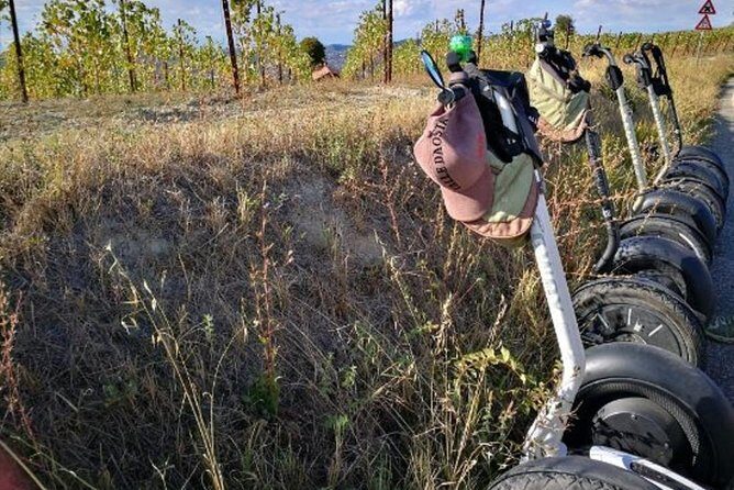 Albahills Segway Tour - Authentic Insights from Reviewers