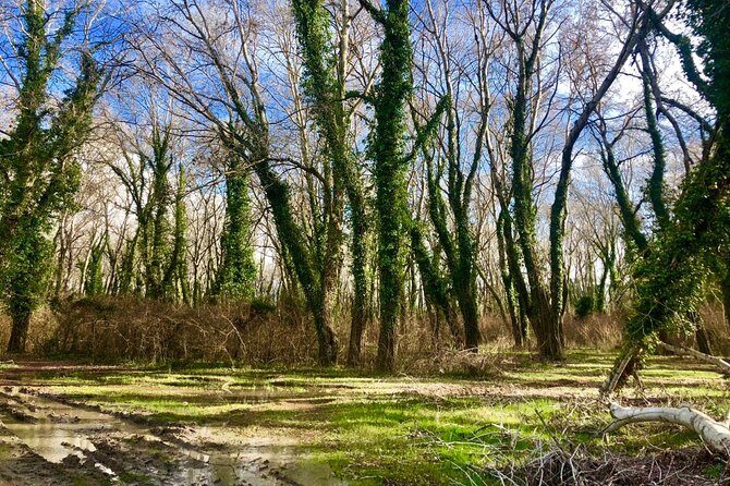 Albania Birdwatching, Kayaking, Bicycle National Park Divjaka Karavasta(ARG) - Who Should Consider This Tour?