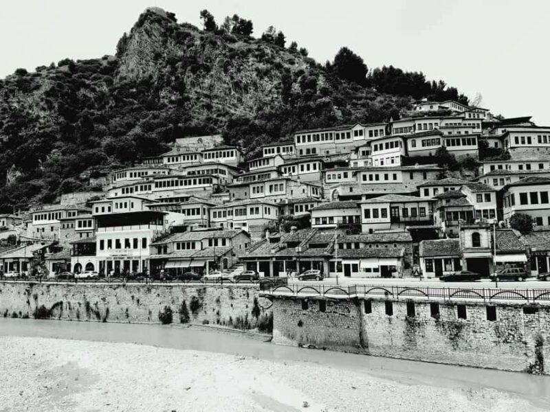 Albania: Culture in AI Development: Art Residency Project - Key Points