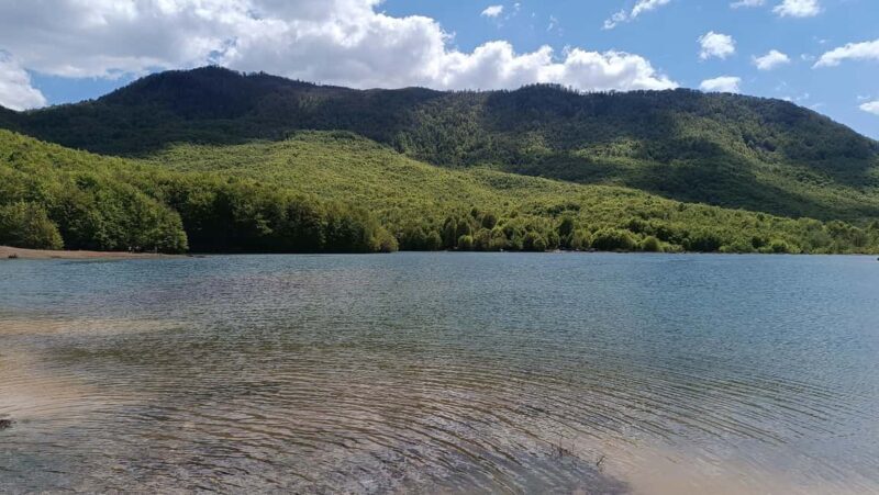 Albania: Culture in AI Development: Art Residency Project - FAQ