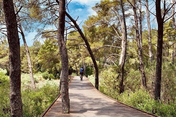 Albanian Gems: Berat and Karavasta Lagoon Day Trip - Authentic Experiences and Insights