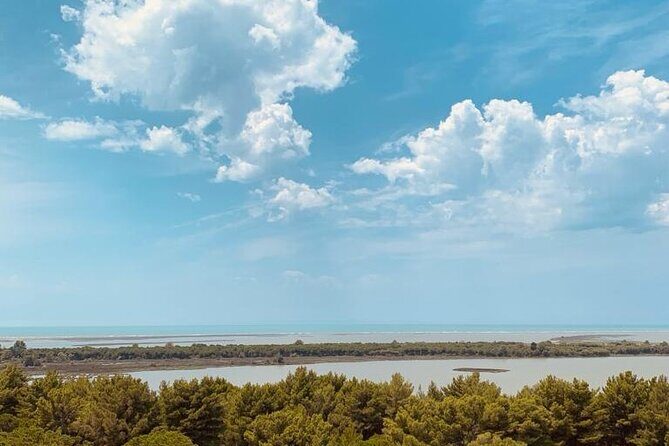 Albanian Gems: Berat and Karavasta Lagoon Day Trip - Who Will Love This Tour?