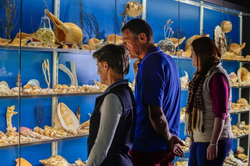 Albany: Historic Whaling Station Entry Ticket - Final Thoughts