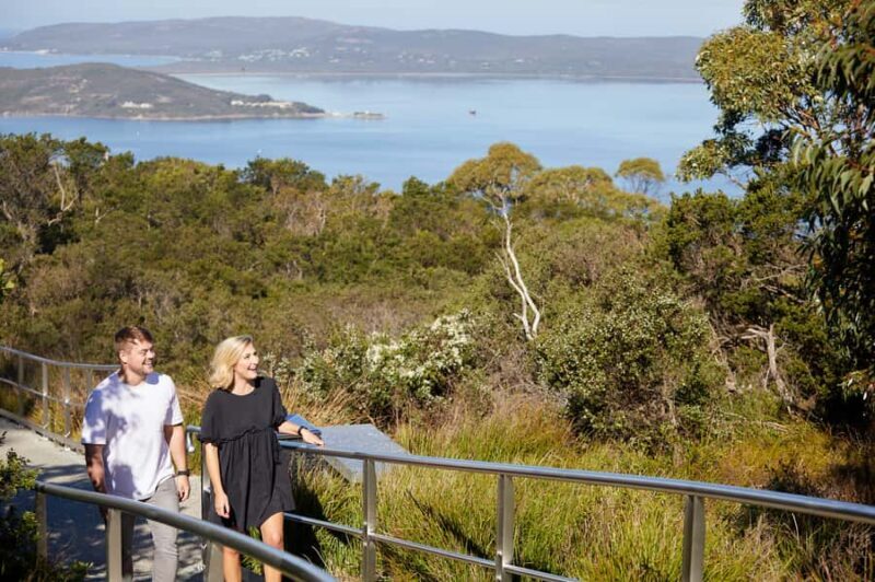 Albany: History and Highlights Tour - Who Will Love This Tour?