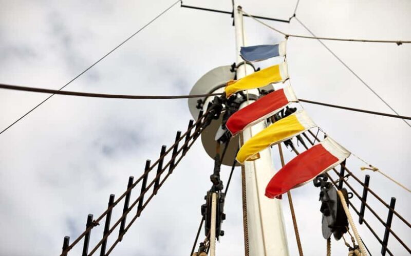 Albany's Whale Story - Key Points