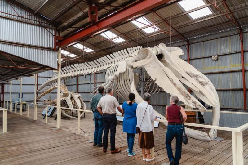 Albany's Whale Story - Food and Relaxation