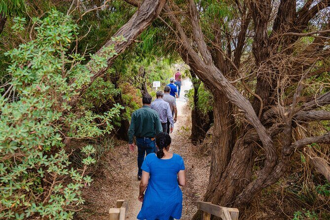 Albany's Whale Story - What Past Travelers Say