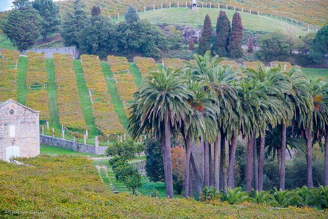 Albariño trails Private Wine Tour/Shore excursion from Vigo - FAQ