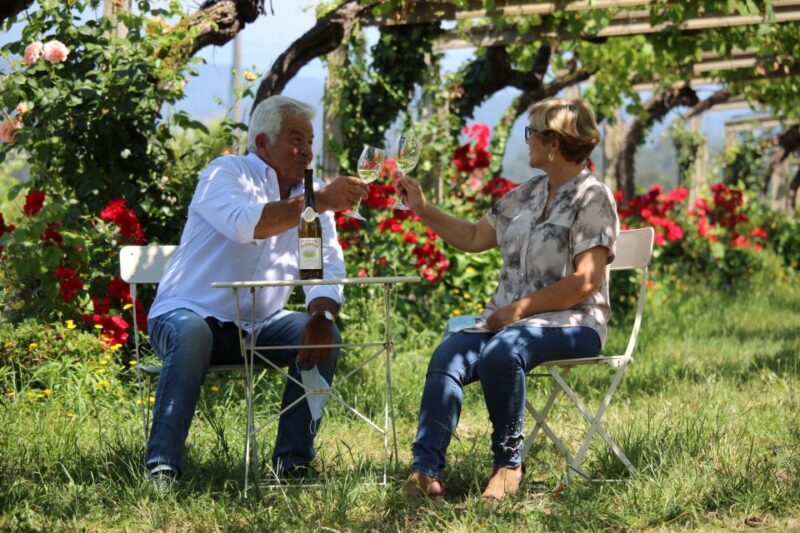 Albariño Wine Tasting with Winery Tour - The Sum Up