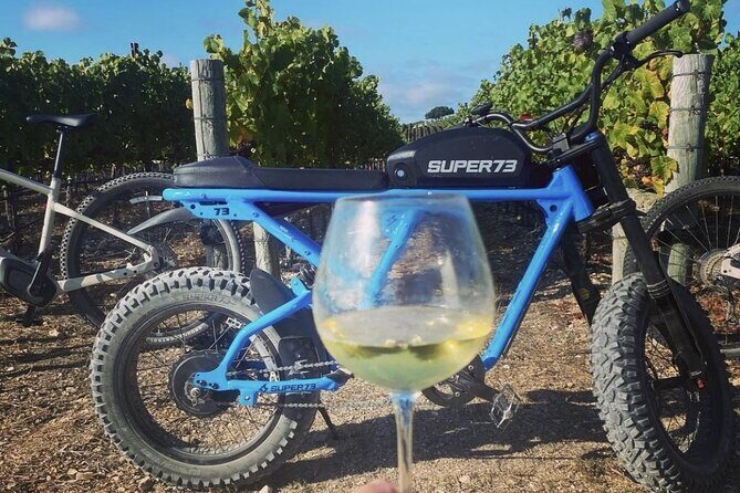 Albatross Ridge Vineyards Electric Bike Tour & Wine Tasting - Final Thoughts