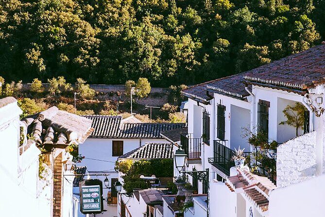 Albayzin and Sacromonte Guided Walking Tour in Granada - Final Thoughts