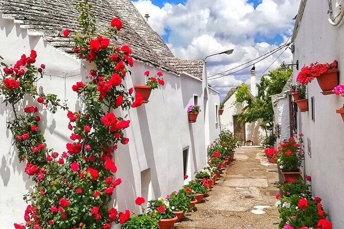 Alberobello Private Tour: Wine, Food, Trulli & Flavors of Puglia - Why This Tour Appeals to Different Travelers