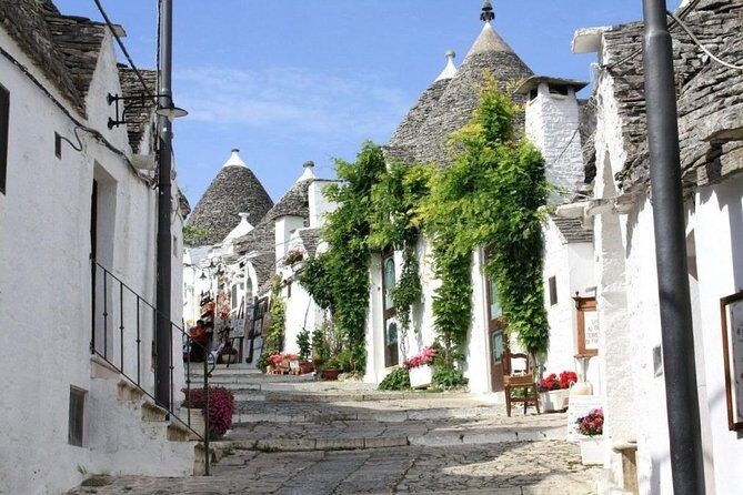 Alberobello private walking tour with gelato tasting - Who Should Book This Tour?