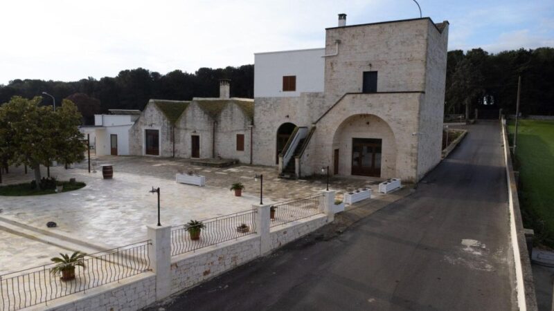 Alberobello: Winery Tour with Wine and Food Tasting - Who Should Consider This Tour?