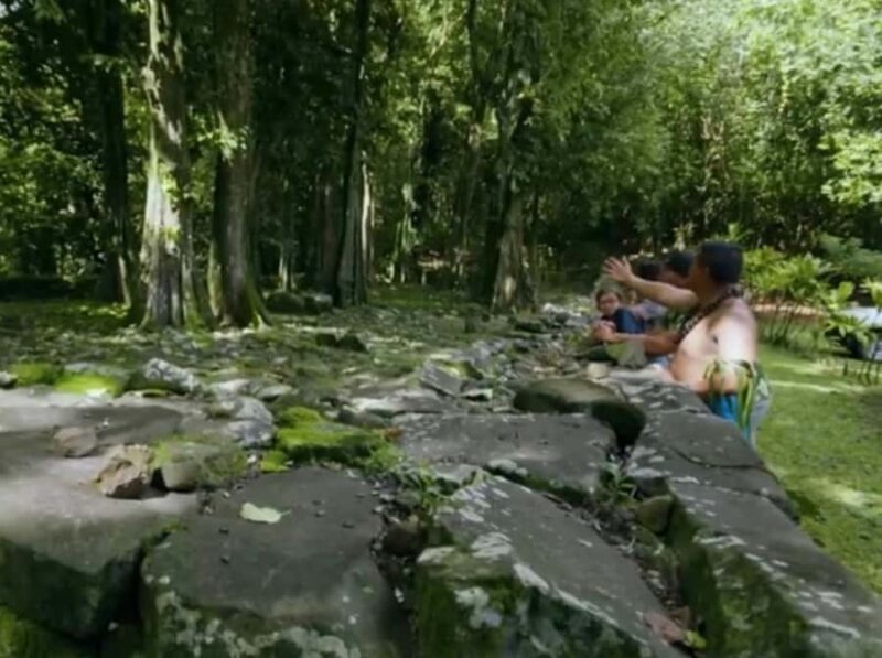 Albert Tours Excursion Safari - Moorea Safari tours&pick up - The Sum Up