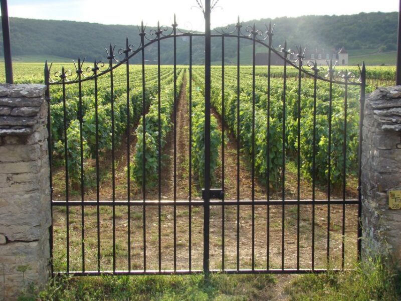 Albi, Cordés-sur-Ciel & Gaillac: Day Trip from Toulouse - Who Is This Tour Best For?