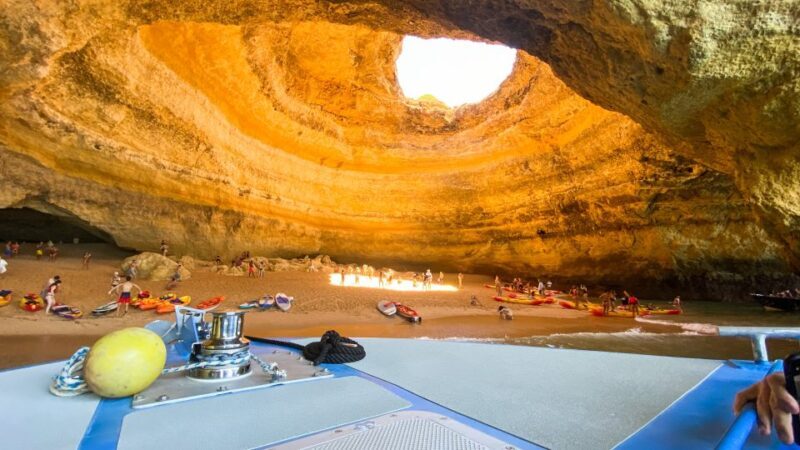 Albufeira: 2.5-Hour Dolphin Watching and Caves Trip - Final Thoughts