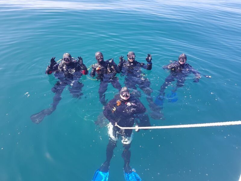 Albufeira: 2 DIVES TRIP (ONLY CERTIFIED DIVERS) - Introduction