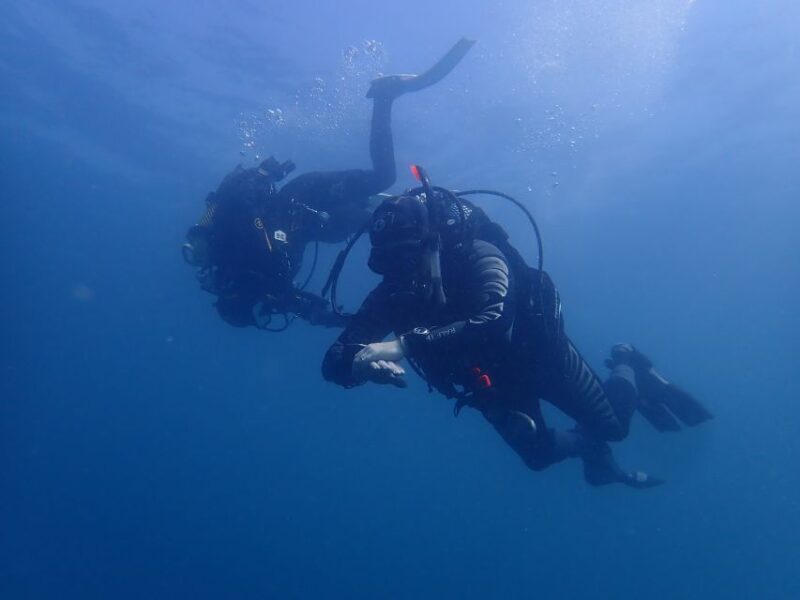 Albufeira: 2 DIVES TRIP (ONLY CERTIFIED DIVERS) - The Itinerary in Detail
