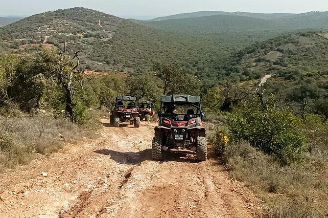 Albufeira 3 hour Off-Road Tour Buggy Adventure Tour - Frequently Asked Questions